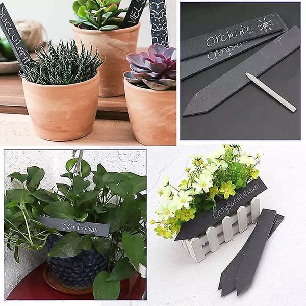 10 kpl liitutaulua kasveille, musta, 15*2cm