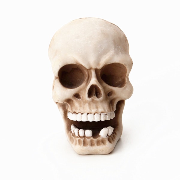 1 stk Menneskeligt ansigt skelet tænder winder kreativt skelet