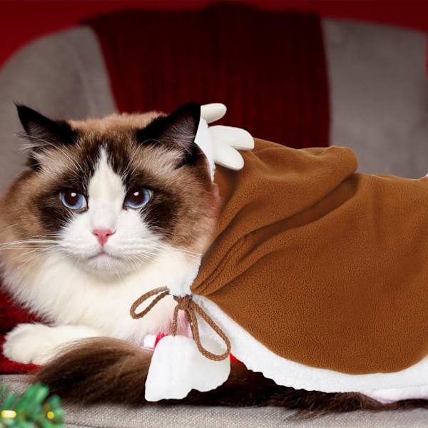 Fleece kæledyr julekappe med hat hætte kat julekappe adj