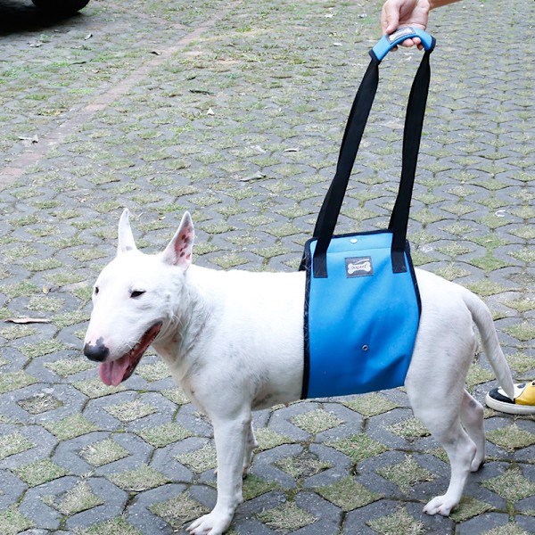 Koiravaljaat Koiravaljaat Lemmikkieläinten Kävelyapu Nosto Veto Liivit Vanhoille Ja Loukkaantuneille Koirille（XL）