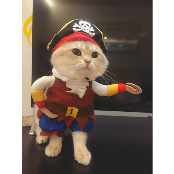 （M）Husdjurstillbehör Hundkläder Stående Piratkläder Hundkläder