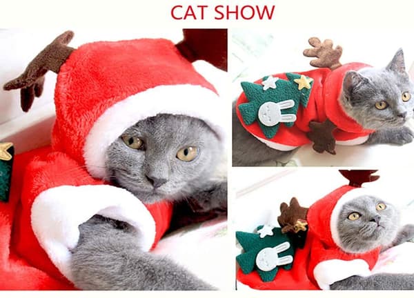 Julekostume til Hunde og Katte