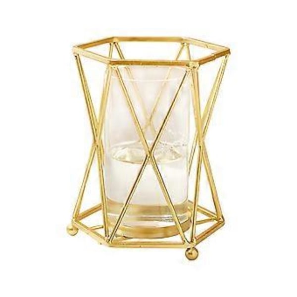 Hydroponiska Gröna Växtvas Ornament Transparent Vas Bordsdekorationer för Vardagsrum Sovrum Arbetsrum