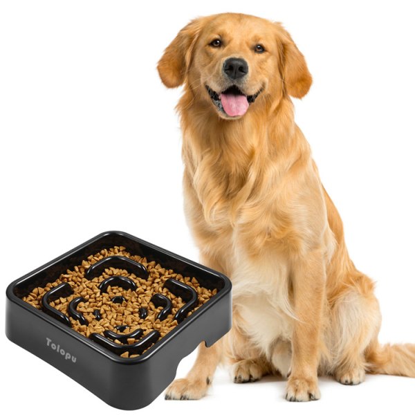 Anti-gulpe-skål til hunde og katte, langsom foderskål til hunde,