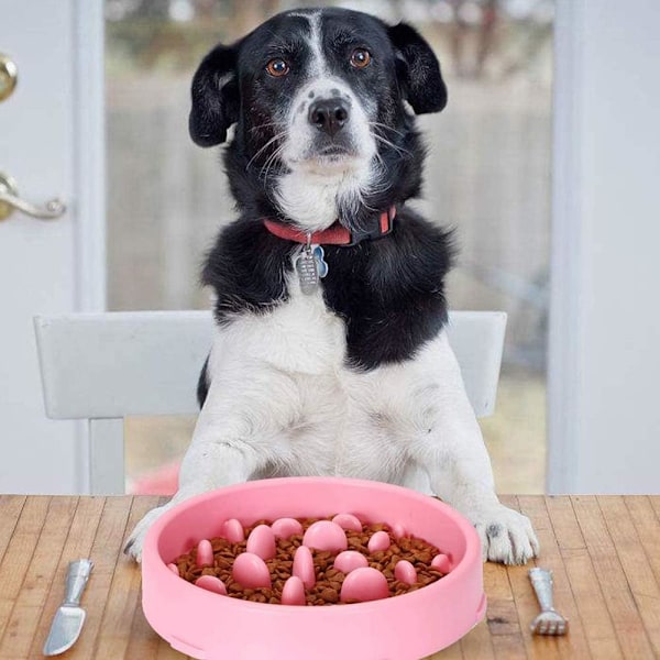 Langsom foderskål til hund og kat - Skridsikker langsom fodring