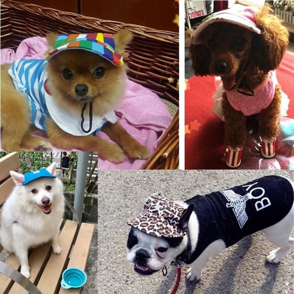 1 st (S, Mesh Powder) Justerbar Hund Solhatt - Baseballkeps w