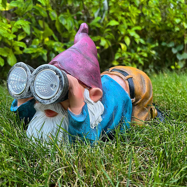 Sjov Havegnom med Solbelysning, Havegnom Figur, Wa