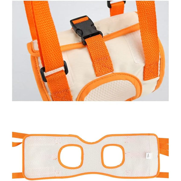 Oranssi koiran apuväline (M vyötärö 35-45cm, jalka 24cm), verkko koiran li