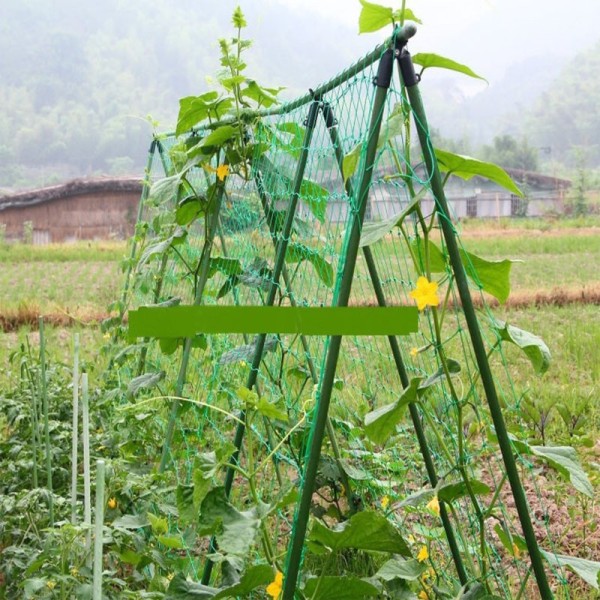 Robust netting for klatreplanter, 1,8 * 1,8 m, svært robust su