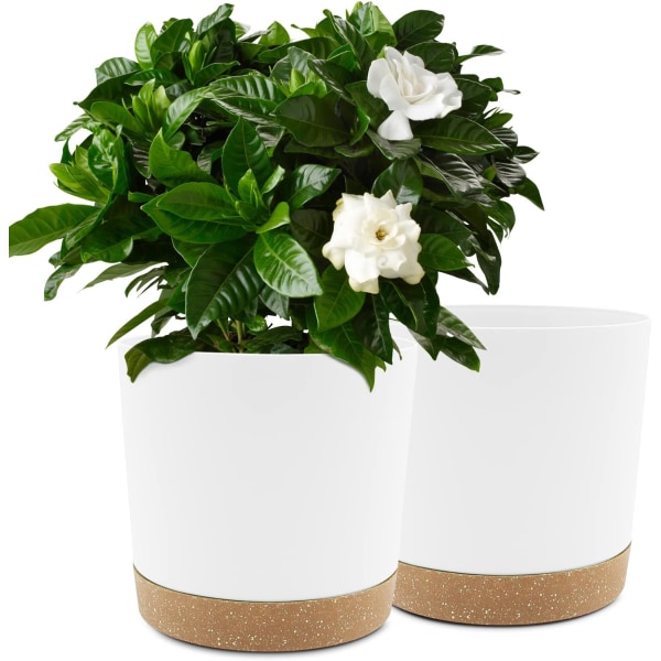 Et sæt med 2 hvide 8-tommer plantepotter, indendørs plantepotter med afløb