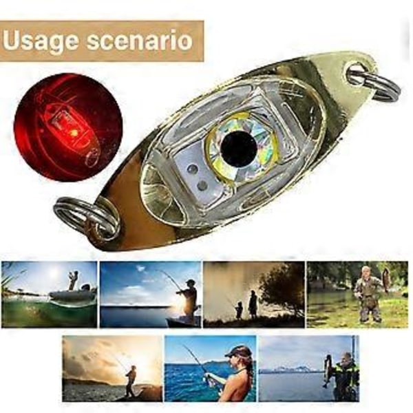 Fiskesluk LED Nattlys Glødende Lampe Fiske Fiskeøye Tiltrekkende Lys Skjeer Agn Undervanns Øyeform Blinklys Blå Blue