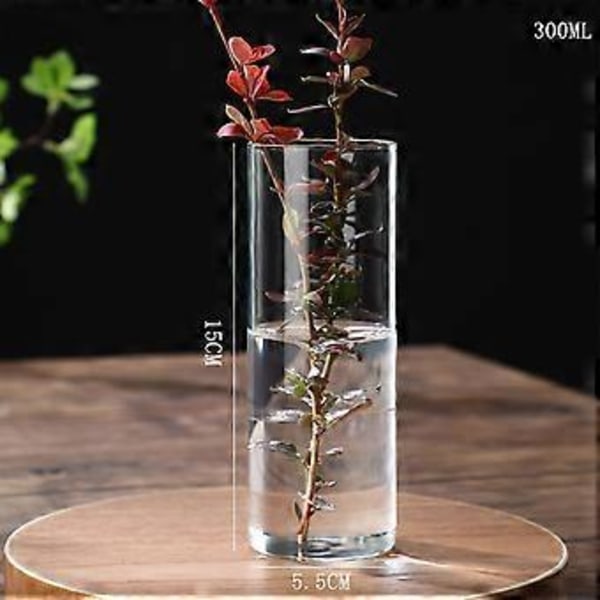 Klar Glasvas Blomvas Minimalistisk Glasvas Cylinderformad Blomvas för Bröllop Vardagsrum Dekorativ Gåva 5.5x15cm