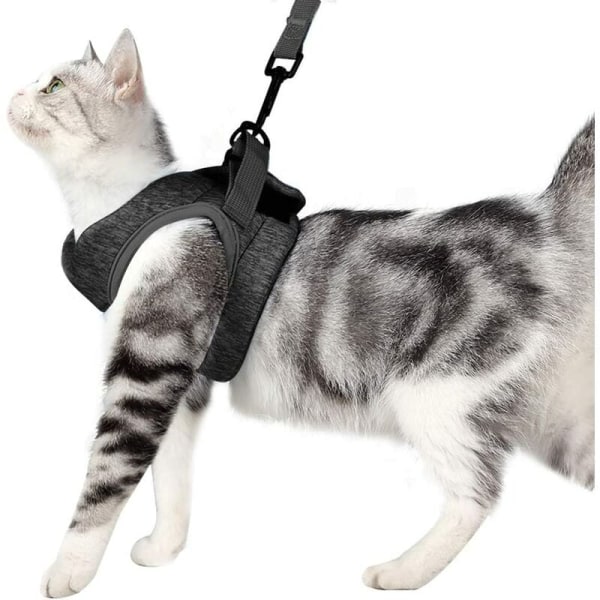 Cat Harness and Leash Ultralight Kitten Collar Soft and Comfortab