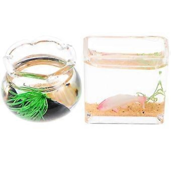 2 st Miniatyr Fisk Skål Akvarium Mini Hus Tillbehör Dockhus Dekoration