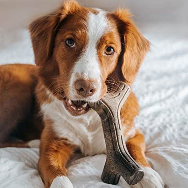 Bacon Stick Hållbar Hundtugg Leksak för Aggressiva Tuggare, Riktig Ba