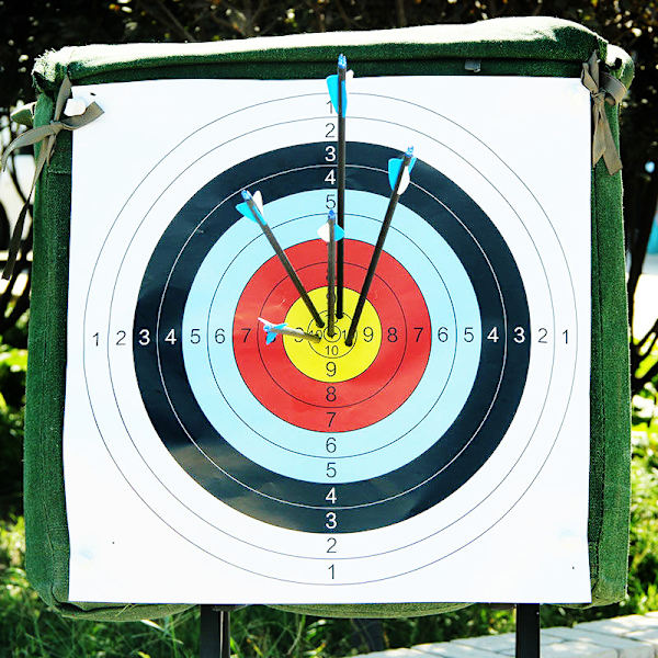 20 full ring targetpapper bågskytte mål 40cm x 40cm internation