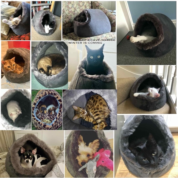Koselig seng for små katter og hunder, iglo-seng, hule, pute, vaskbar