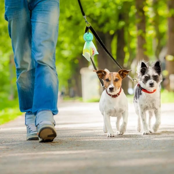 6 hundbajspåsehållare (5 färger), hundbajspåsehållare, avfall B