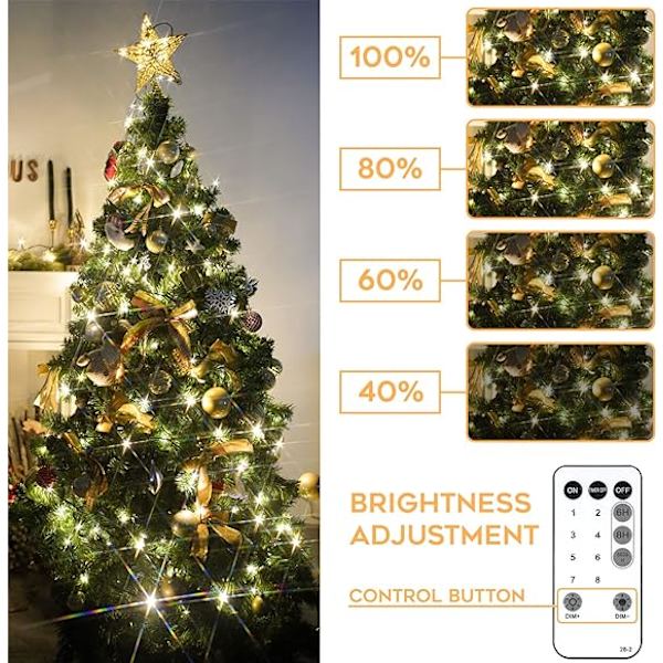 Vita julgransljus utomhus/inomhus, 10 m 100 LED-fjärrkontroll