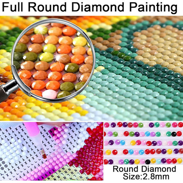 11,8x15,7 tum 5D Diamantmålningssatser för vuxna nybörjare DIY