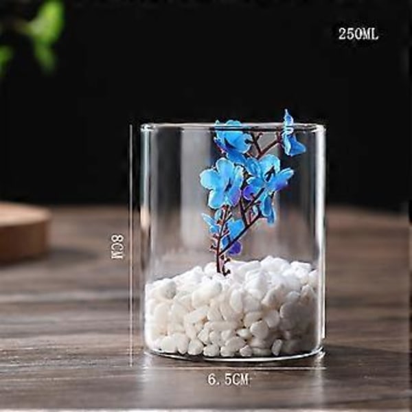 Klar Glasvas Blomvas Minimalistisk Glasvas Cylinderformad Blomvas för Bröllop Vardagsrum Dekorativ Gåva 6.5x8cm