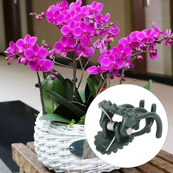 200st växtklämmor Orkidéklämmor Blomformad växtklämma Orchid S