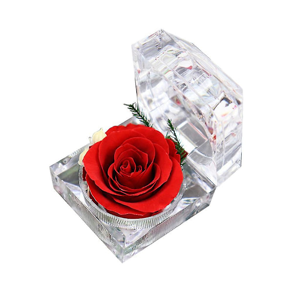 Äkta rosor permanent förvarade i mini transparent ringbox, årsdag, Alla hjärtans dag, jul, födelsedagspresenter (röd)