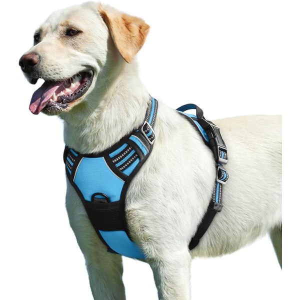 Ljusblå, L , Hundsele, Justerbar Reflex Anti-Pull Dog
