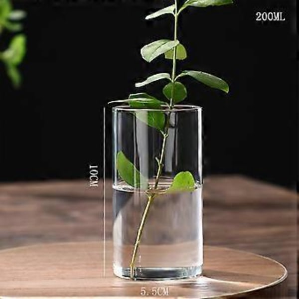 Klar Glasvas Blomvas Minimalistisk Glasvas Cylinderformad Blomvas för Bröllop Vardagsrum Dekorativ Gåva 5.5x10cm
