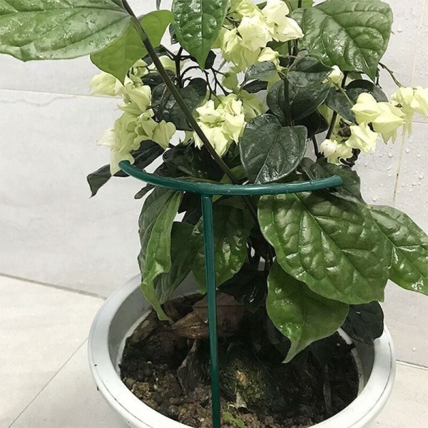 10 stycken växtstöd, trädgårdsstöd för växter, stöd för blommor i trädgården
