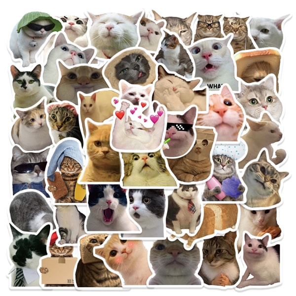 50 STK Cat Expression Stickers, Vinyl Stickers Graffiti Decals f