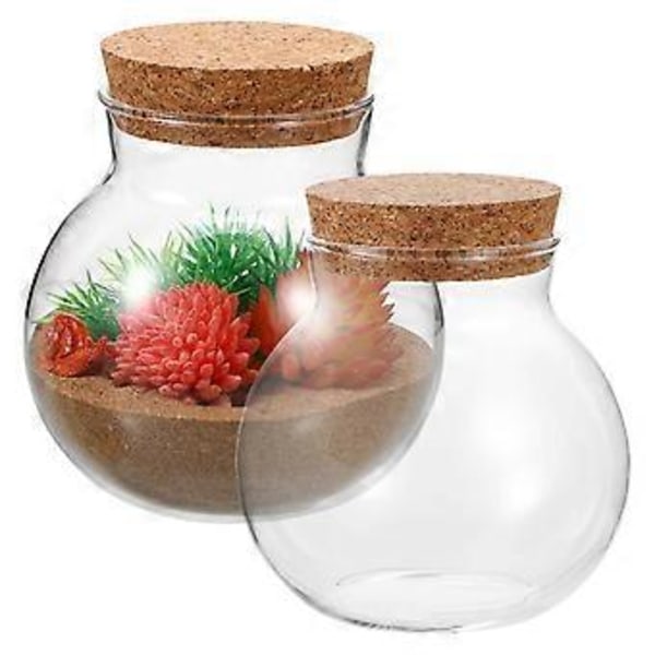2 stk. Forseglede Klare Terrarium Glasflasker Mikrolandskab Glas Krukke Sfærisk Økologisk Flaske