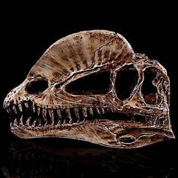 1 kpl Hieno Dilophosaurus Kallo Koriste Hartsi Dinosaurus Kallo Malli Käsityöt Sisustus Elävä Dinosaurus Kallo Koriste Luova Dinosaurus Kallo Malli Sisustus