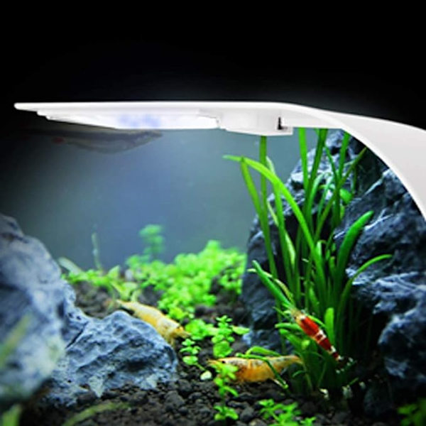 Super Slim Akvarium Fisketank LED Lys Klemme-på Lampe Vandplanter