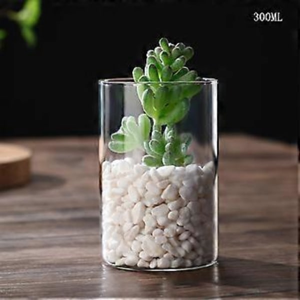 Klar Glasvas Blomvas Minimalistisk Glasvas Cylinderformad Blomvas för Bröllop Vardagsrum Dekorativ Gåva 6.5x10cm