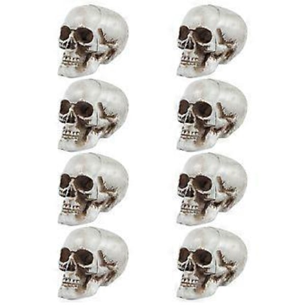 8 st Halloween Läskiga Rekvisita Små Döskallar Liten Döskalle Modell Falsk Döskalle Dekor för Fest