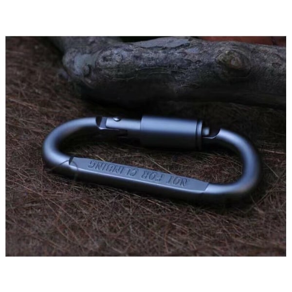 Micro 2 Mini Karabiner med Skruvlock, 2-pack