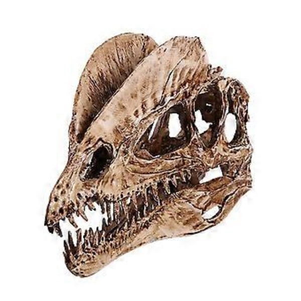 1 kpl Hieno Dilophosaurus Kallo Koriste Hartsi Dinosaurus Kallo Malli Käsityöt Sisustus Elävä Dinosaurus Kallo Koriste Luova Dinosaurus Kallo Malli Sisustus