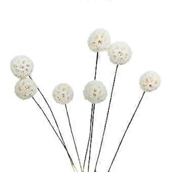 Billy Ball Blomster Tørrede Blomster Kunstige Tørrede Blomster Hjemmehave Dekoration (style8024)