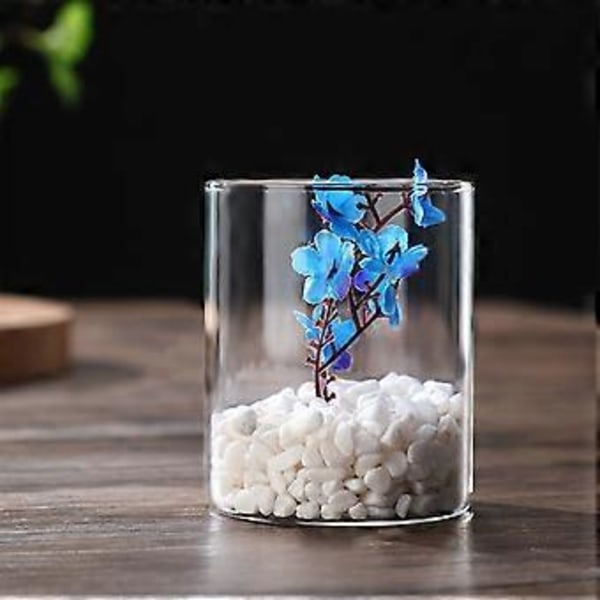 Klar Glasvas Blomvas Minimalistisk Glasvas Cylinderformad Blomvas för Bröllop Vardagsrum Dekorativ Gåva 6.5x8cm