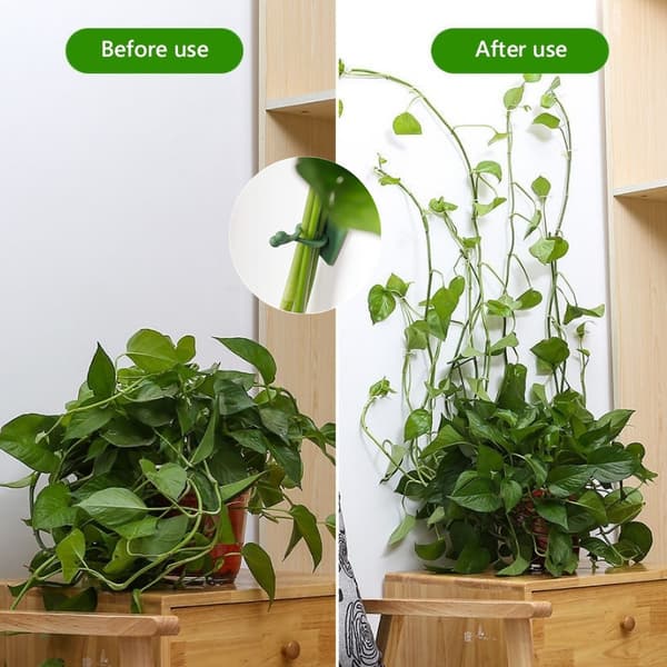 100 stk. - Medium klatreplante støtteclips, selvklæbende plante C