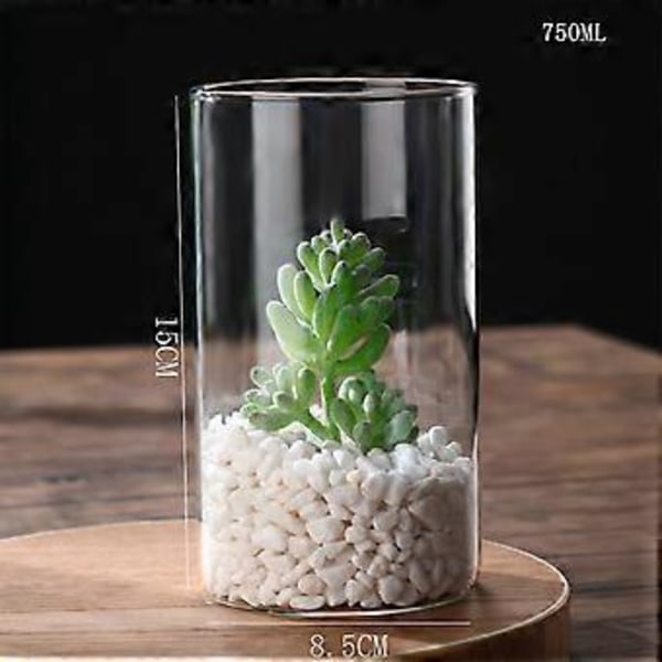 Klar Glasvas Blomvas Minimalistisk Glasvas Cylinderformad Blomvas för Bröllop Vardagsrum Dekorativ Gåva 8.5x15cm