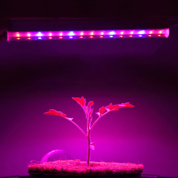 Plantelampe, Hagebrukdyrking Lampe Rød & Blå T5 Vokse LED G