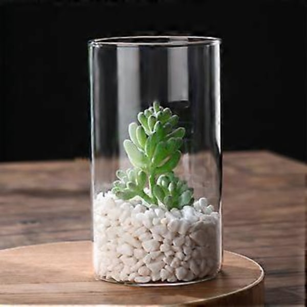 Klar Glasvas Blomvas Minimalistisk Glasvas Cylinderformad Blomvas för Bröllop Vardagsrum Dekorativ Gåva 8.5x15cm
