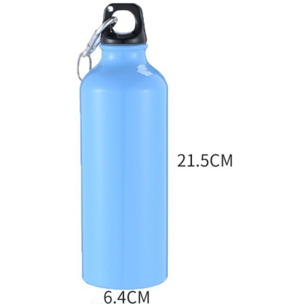 Blåfarvet, 500 ml rustfrit stålflaske med karabinhage