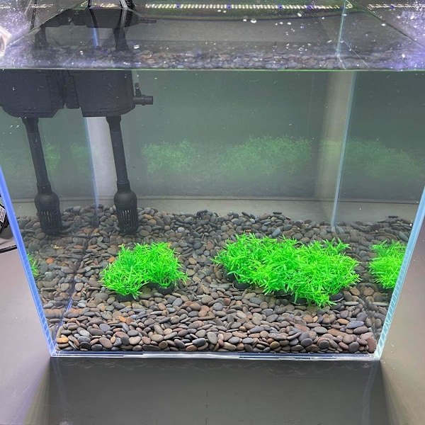 20 stk/lot Kunstige Plastplanter Akvariumplanter Små Høye Go