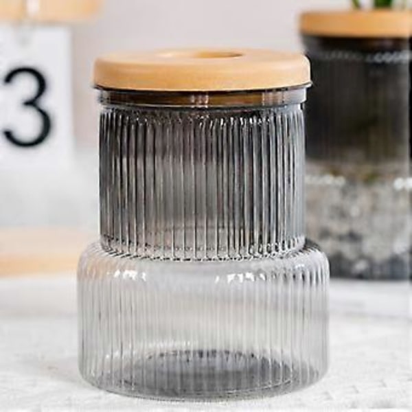 Skrivbords Hydroponisk Vas Ornament med Lock Hydroponisk Växtförökning Terrarium för Trädgårdsentusiaster Present Transparent Gray