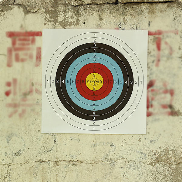 20 full ring targetpapper bågskytte mål 40cm x 40cm internation