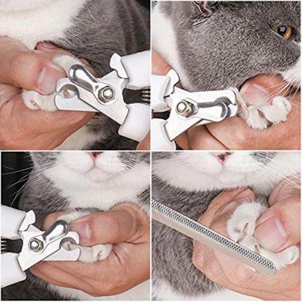Blå sax för hund- och kattklor, klosax för hund och katt med nagelfil