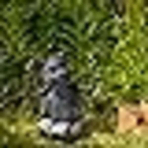 Hagedragefigur, Vakker Hagefigur av Drager, Vanntett